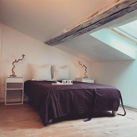 Superbe Duplex En Plein Coeur De Nancy Exterior foto