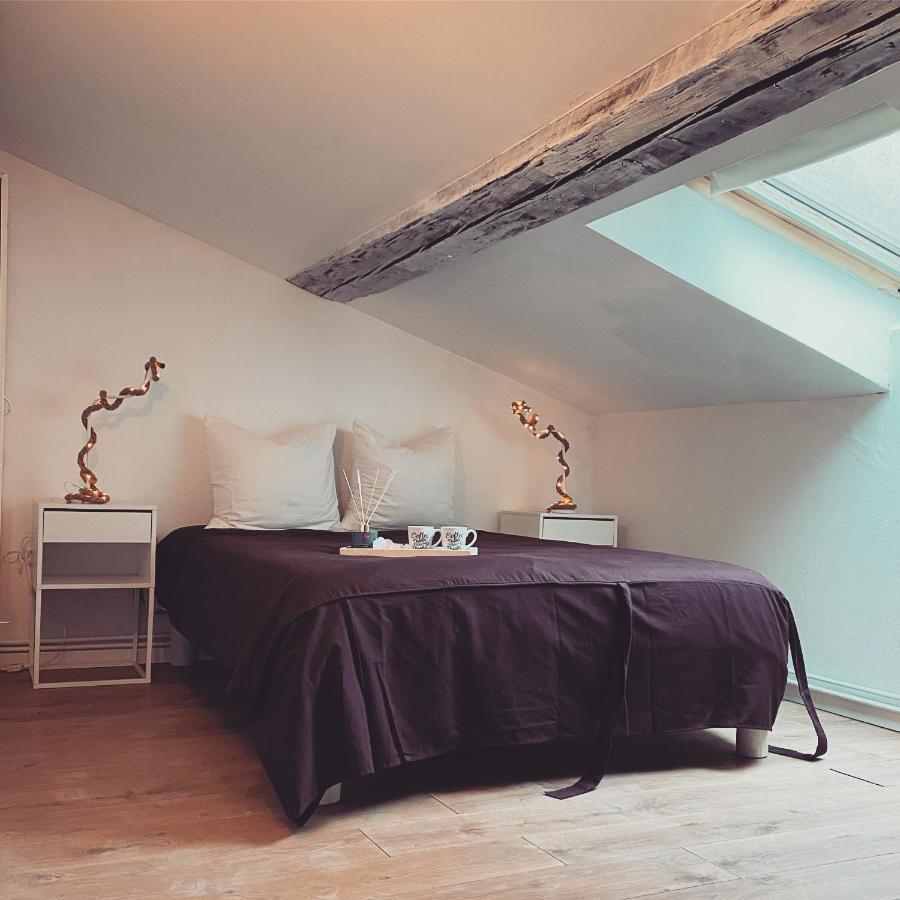 Superbe Duplex En Plein Coeur De Nancy Exterior foto